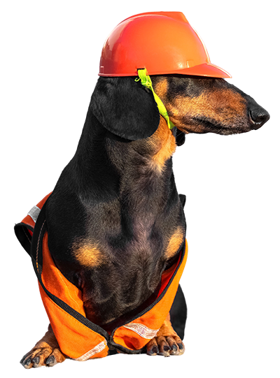 Accounting and Tax Services for a variety of industries. Picture of do in a construction safety helmet.